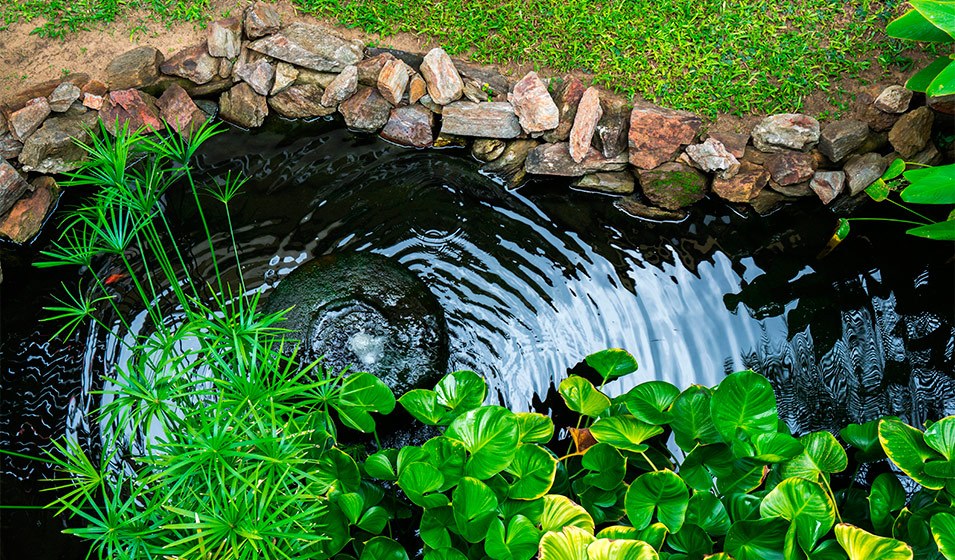 greenview architecte paysagiste parc jardin etude projet amenagement piscine pas cher services jardin arbuste etang